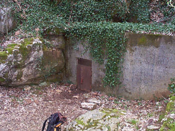 Blue Springs Cave, White County Tennessee