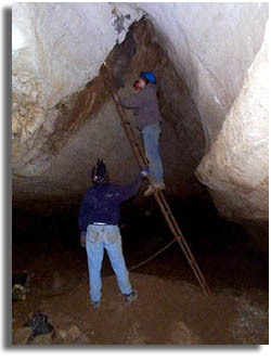 Blue Springs Cave Ladder