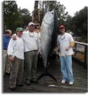 State Record Bluefin Tuna