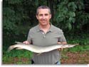 Shortnose Gar