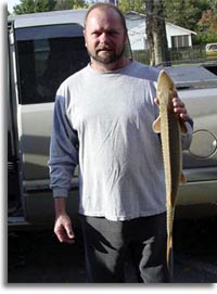 Record Shovelnose Sturgeon
