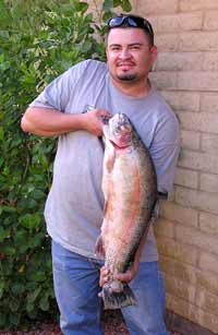 Arizona State Record Rainbow Trout