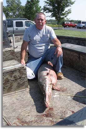 Missouri State Record Alligator Gar