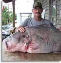 World Record Blue Catfish