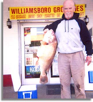 North Carolina State Record Drum