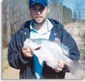 North Carolina White Crappie