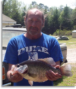 North Carolina White Crappie Record