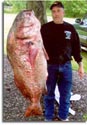 Record Black Drum