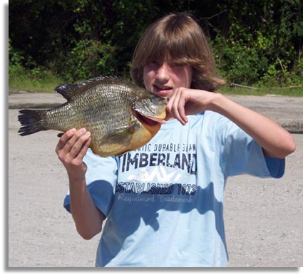 North Carolina State Record Shellcracker