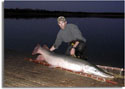 Record Alligator Gar