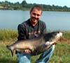 Channel Catfish