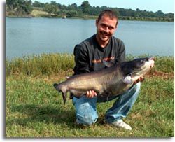 Channel Catfish