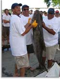 Record Cobia