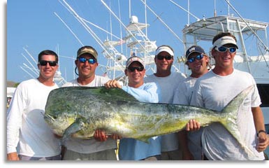 South Carolina Dolphin Fish