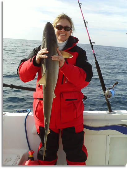 South Carolina Antlantic Sharpnose Shark