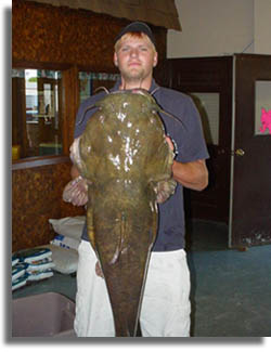 State Record Flathead Catfish