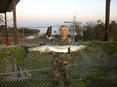 Barracuda