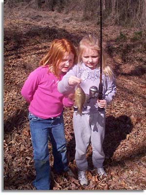 Tennessee Pond Bluegill