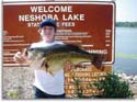 Mississippi largemouth Bass