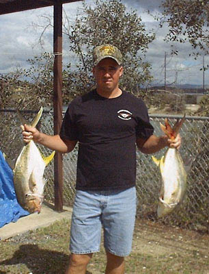 Crevalle Jack