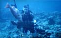 Gitmo Marines Spearfishing