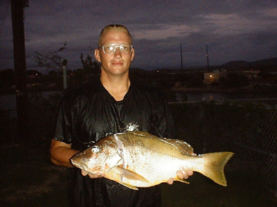 Dog Snapper, spearfishing