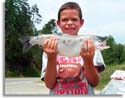 North Carolina Kokanee Salmon