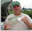 North Carolina White Crappie