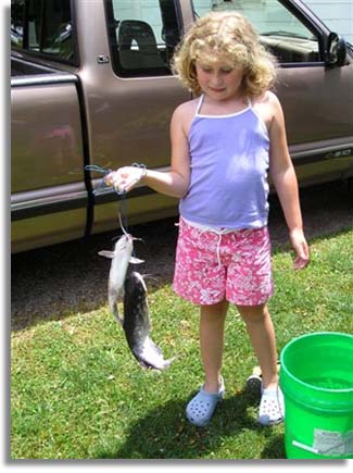 Channel Catfish