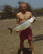 Tarpon