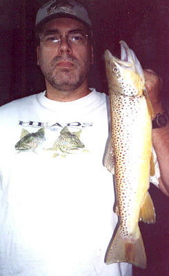 Spinner's Trout