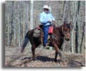 Horseback Riding Trail