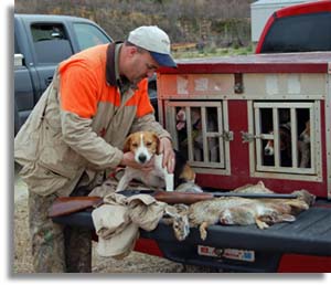 Beagle & Rabbit Hunter