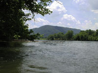 Holston River