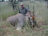 African Eland