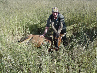 Skip's Hartebeest