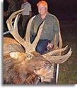 Arkansas Elk - Gene Rush Wildlife Management Area