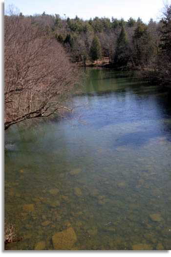 Daddys Creek - Odeb Wild & Scenic River