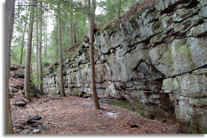 Lilly Boulder Field - Bouldering Area