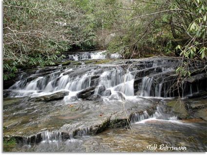 Melton Mill Branch - Odeb Wild & Scenic River, Tennessee