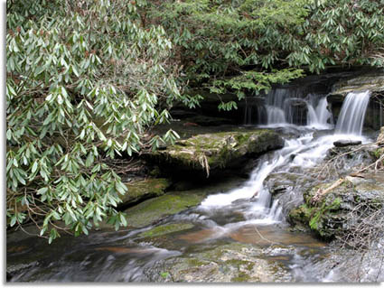 Waterfall at Odeb Wild & Scenic River Tennessee