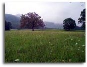 Smoky Mountains National Park