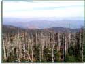 Great Smoky Mountains National Park