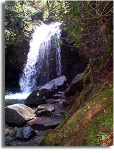 Grotto Falls - Smoky Mountains National Park