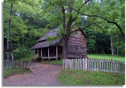 Tipton Place Cabin