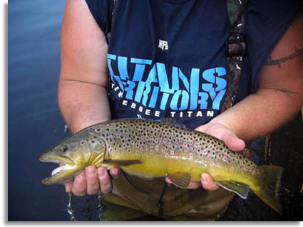 Caney Fork River Trout