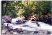 Nantahala River Raft