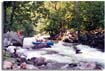 Nantahala River