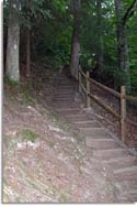 River Trail at Burgess Falls