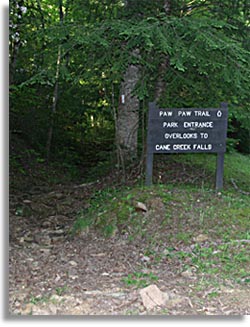 Paw Paw Trail - Tennessee State Park